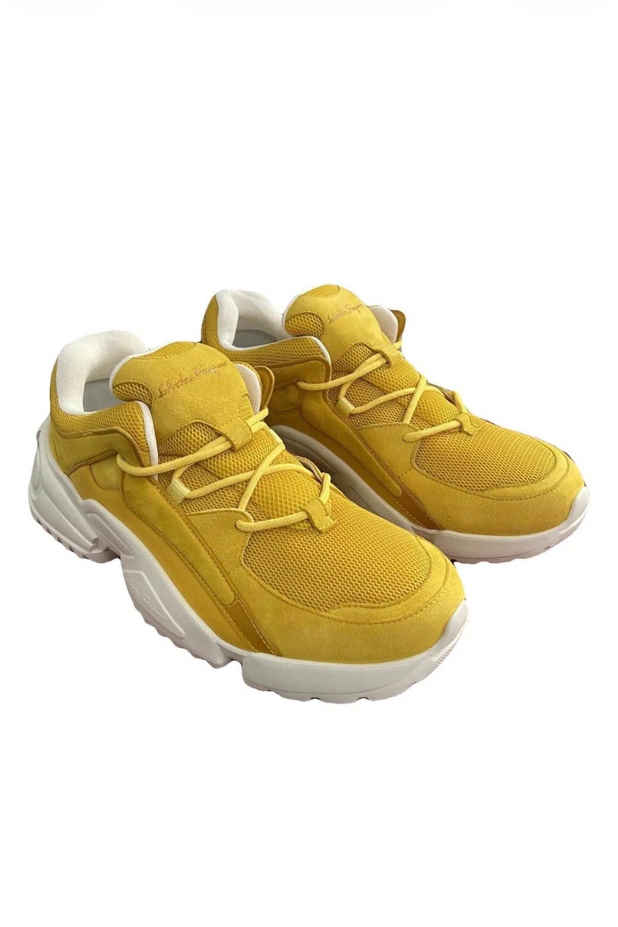 Tenis Skyler Ferragamo
