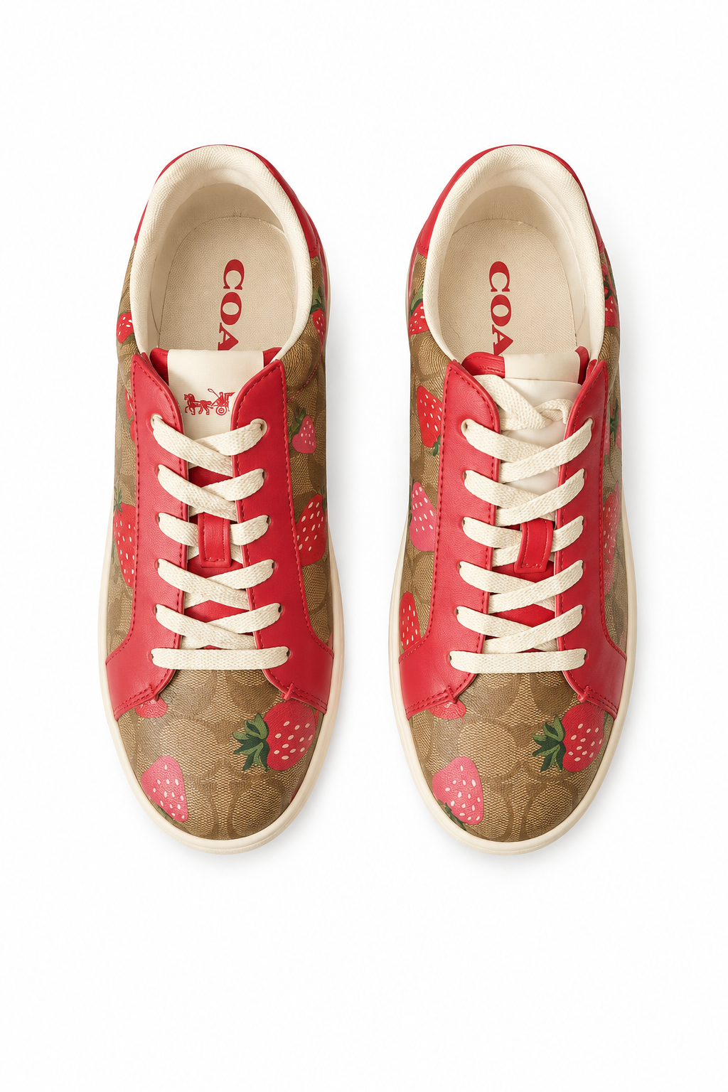 Tenis Clip Low Top Coach